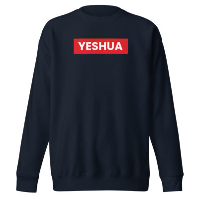 unisex-premium-sweatshirt-navy-blazer-front-6aa58e9318ae7.jpg