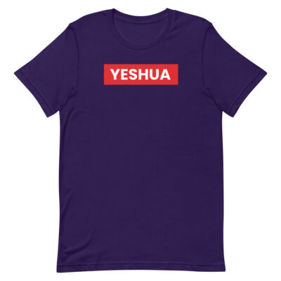 unisex-staple-t-shirt-team-purple-front-6aa069fbbc80c.jpg